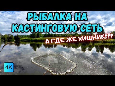 Видео: А ГДЕ ЖЕ ХИЩНИК??? РЫБАЛКА НА КАСТИНГОВУЮ СЕТЬ🕸️