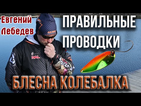 Видео: Блесна колебалка, правильные проводки. Ответы на вопросы подписчиков Е. Лебедева.