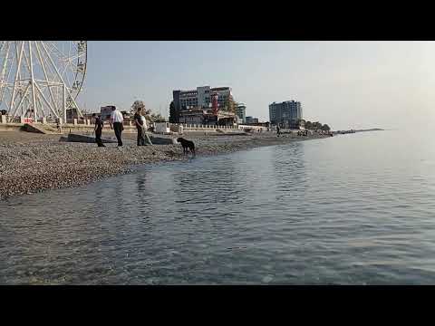 Видео: 7 ноября 2025 г.