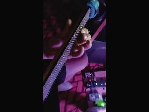 Видео: Блюз Вау вау день 10 