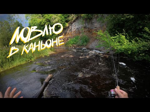Видео: Рыбалка в каньоне реки┃Поймал рыбу, о которой и не мечтал 