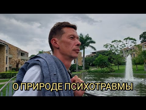 Видео: В чём суть психотравмы? в чем её природа? Давайте разберёмся!