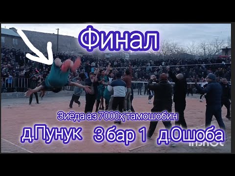 Видео: Финал   Пунук 3-1  Ошоба 2025 #ашт #тчк #sports #топ #волейбол #tjk