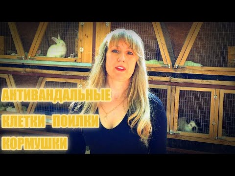 Видео: Где купить клетки для кроликов, кормушки и поилки? Антивандальные товары для кроликов.