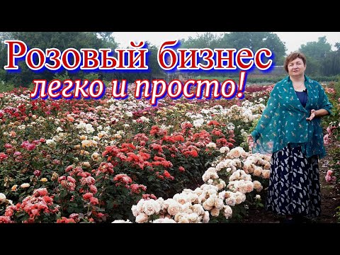 Видео: Розовый бизнес легко и просто!