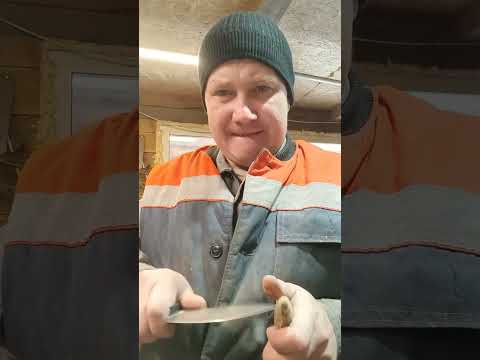 Видео: 7 ноября 2025 г.