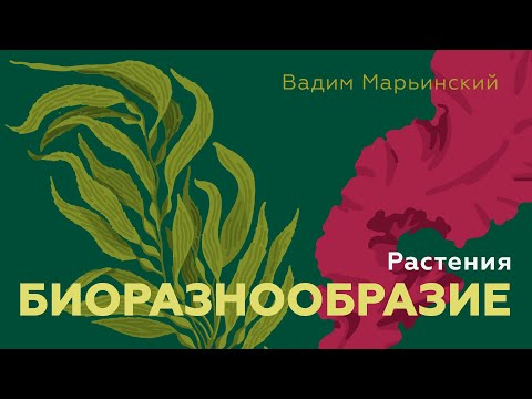 Видео: Растения. Естествознание 8.4
