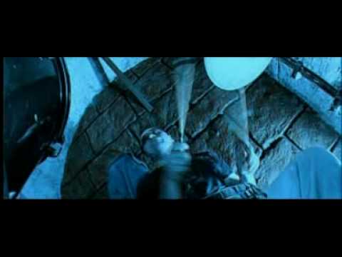 Видео: Год Змеи - Гарри Поттер