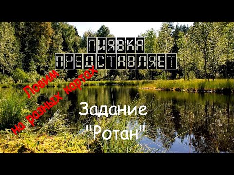 Видео: РОТАН ловим на разных локациях / картах #MyFishingworld