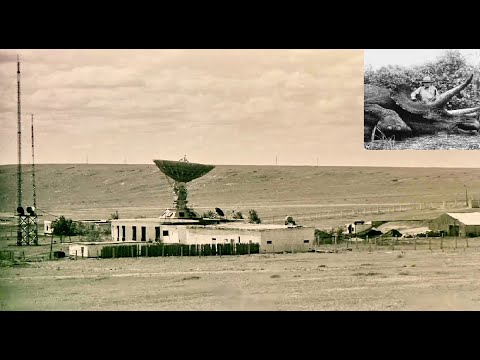 Видео: Встреча с динозавром в Монголии  1988 год