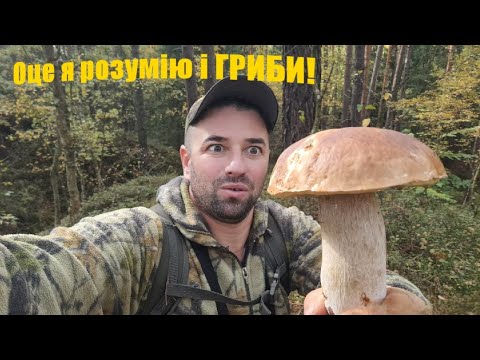 Видео: ЗБИРАЮ БІЛІ ГРИБИ В ЖОВТНІ / Багато Білих Грибів / Грибниці На Висоті В Горах!