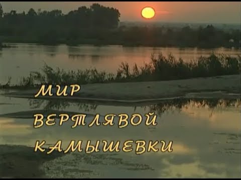 Видео: Мир вертлявой камышевки. Документальный фильм | Film Studio Aves