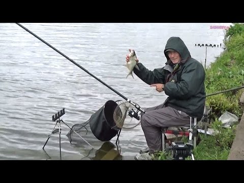 Видео: "Уловистая рыбалка" с Евгением Середой. Выпуск №11. "С болонкой в Крылатском."