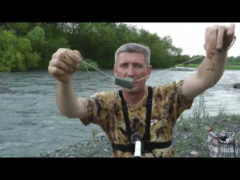 Видео: Бешеный клёв на ЗАКИДУШКИ.  Итоги розыгрыша #усач,  #ловляусача #закидушки