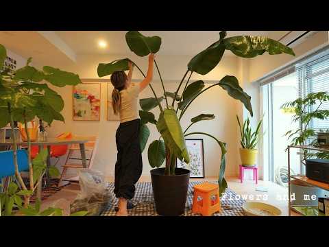 Видео: Расслабляющий тур по растениям | Как пересаживать в горшки | Подходит для начинающих