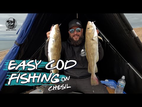 Видео: Как я ловлю треску на Чесиле | Лёгкая рыбалка с Уэйном | Ловля трески 🎣