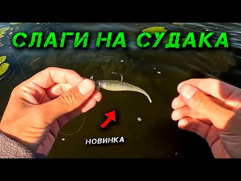 Видео: ✅Що Можна Зловити За 3 Години На Вечорці?✅