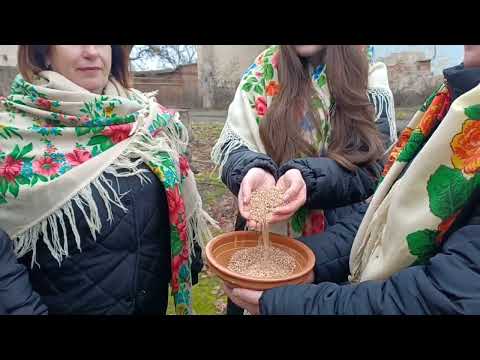 Видео: Сійте люди жито