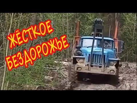 Видео: Зимник. Самые крутые водители в мире на бездорожье.