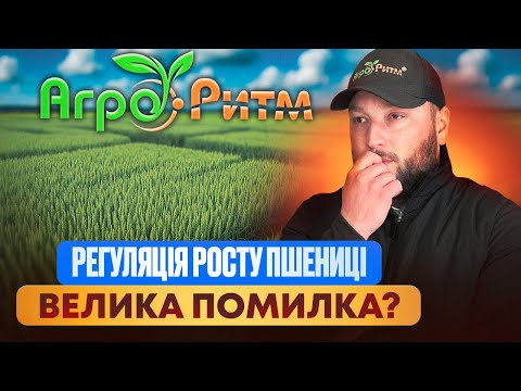 Видео: ВЕЛИКА ПОМИЛКА ЧИ ТОПОВИЙ ЛАЙФХАК?РІСТРЕГУЛЯЦІЯ ПШЕНИЦІ ТА ЯЧМЕНЮ
