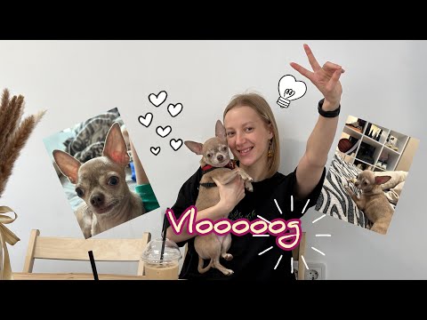 Видео: ЧИХОВлог!/Vlog. Лакомства, новый рюкзак, кафе. Заскочили на Кремль))