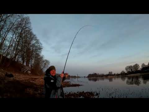Видео: Тест дешёвых прикормок, первое знакомство с новым удилищем и рецепт СУПЕР ШАШЛЫКА от Нормунда, Но229