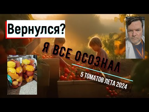 Видео: 5 томатов лета. Вернулся или нет?