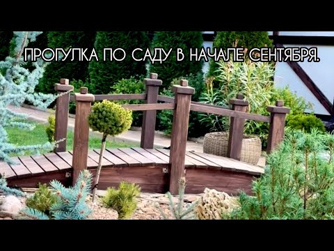 Видео: Прогулка по саду в начале осени. 