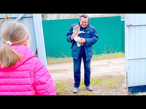 Видео: VLOG Майские праздники на даче! 28.04.22