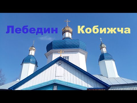 Видео: Лебедин Кобижча 4 03 2020