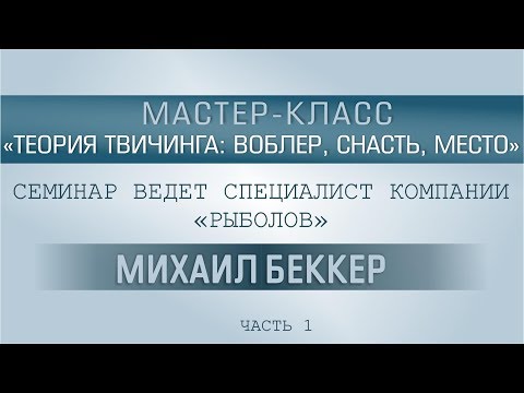 Видео: Семинар по твичингу. Часть 1