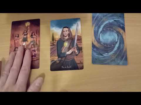 Видео: 23 ноября 2025 год. 