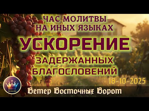 Видео: 🚀🛐✈️ ЧАС Молитвы на Иных Языках ⬆️🙏🏻⬆️ УСКОРЕНИЕ ЗАДЕРЖАННЫХ БЛАГОСЛОВЕНИЙ 🚀🛐✈️