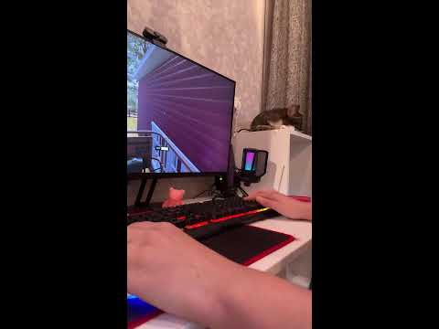 Видео: TOMINA в прямом эфире!