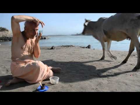 Видео: Быстрый старт. 27. Как ставить тилак?