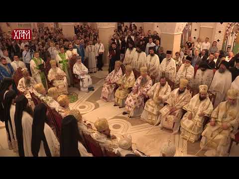 Видео: Хиротонија Епископа ремезијанског г-дина Стефана (Шарића)