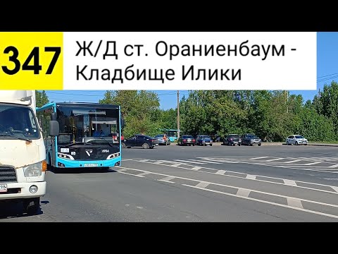 Видео: Автобус 347. Ж/Д ст. Ораниенбаум - Кладбище "Илики"