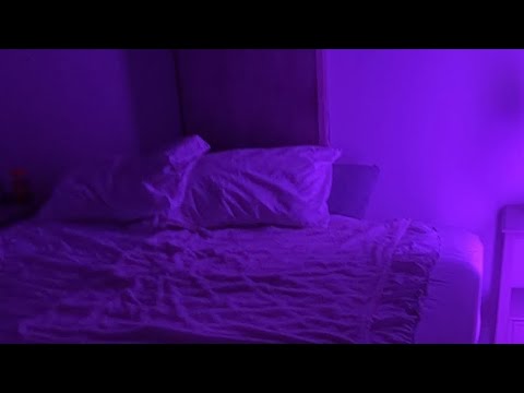 Видео: РОККИ И Я СПИМ ВМЕСТЕ 🌙