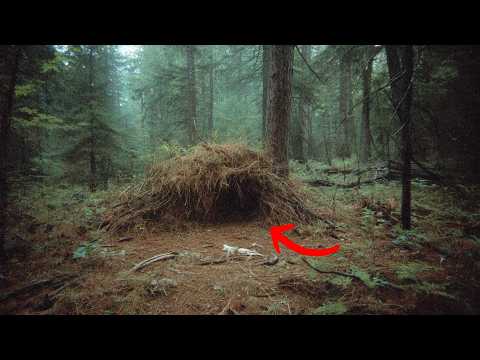 Видео: ВИРУСНЫЕ кадры с камеры слежения запечатлели то, что никто не может объяснить