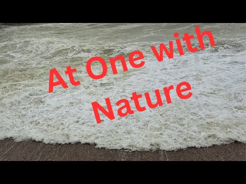 Видео: В ЕДИНСТВЕ С ПРИРОДОЙ