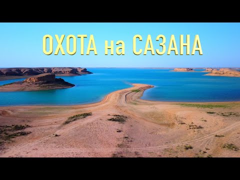 Видео: В тишине ночи - битва с трофеем.