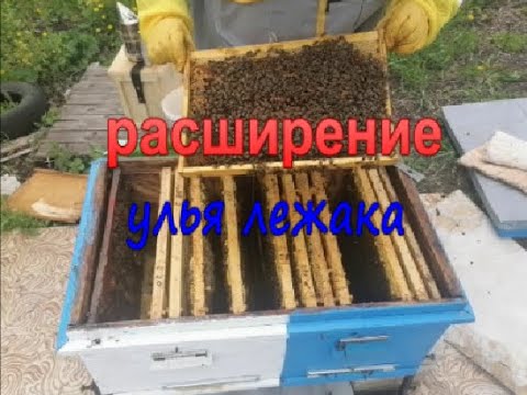 Видео: Расширение улья лежака