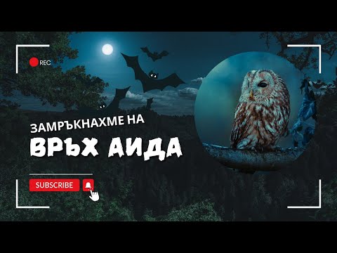 Видео: Замръкнахме в Родопите | Сови ни наобиколиха | По пещери и шарапани