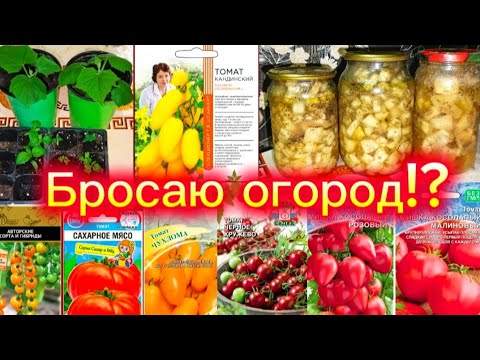 Видео: Что я наделала!😮 Решила бросить огород!?🤷‍♀️Поболтаем обо всём.😉