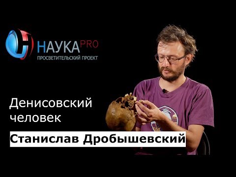 Видео: Денисовский человек: что о нём известно и где нашли? – антрополог Станислав Дробышевский | Научпоп