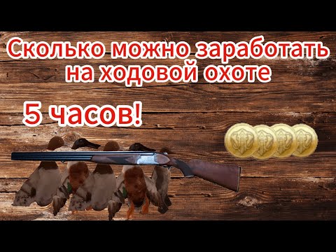 Видео: BULT. Сколько можно заработать на ходовой охоте?
