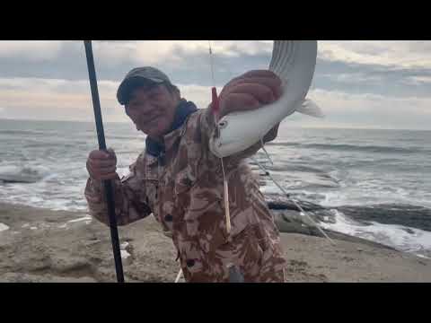 Видео: Кызылозен-- Сакакудык-- Сыгынды (Майкин) 31.10.22