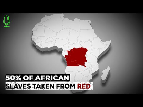 Видео: Почему 50% африканских рабов были вывезены всего из трех стран?