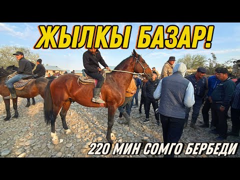 Видео: ӨЗГӨН ЖЫЛКЫ БАЗАРЫ 12 ОКТЯБРЬ 2025 💪🏻#байтв 