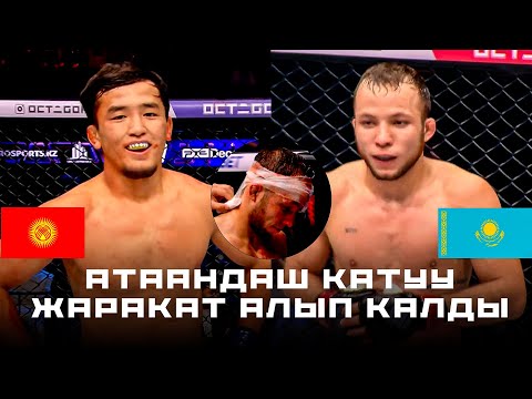 Видео: НОВЫЙ ЖЕСТКИЙ ТЕХ НОКАУТ: Актилек Бактияр уулу (КР) - Бейбарыс Занов (КАЗ) / Octagon 81